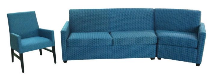 Sectional and Arm Chair